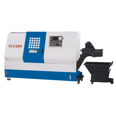 CLC25-CLC25H
